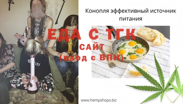 Альфа ПВП Лагань