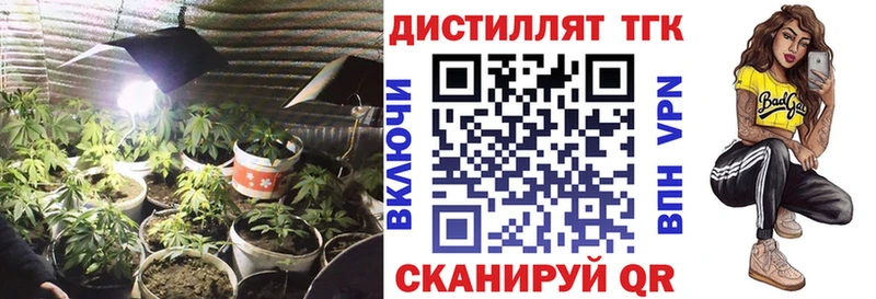 где найти   Тогучин  Дистиллят ТГК гашишное масло 