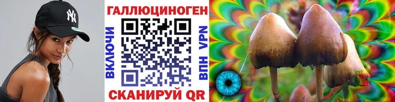 Псилоцибиновые грибы мицелий  ссылка на мегу   Тогучин 